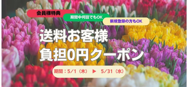 新規会員ご登録特典
