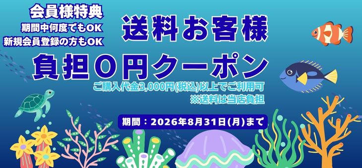 新規会員ご登録特典