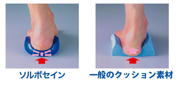 ソルボセインとは?